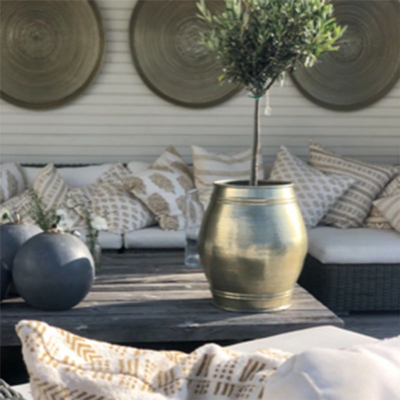 cushion cover plain w/gold piping